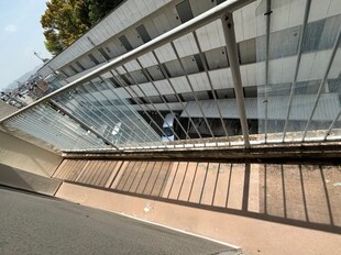 野里駅 徒歩24分 4階の物件内観写真